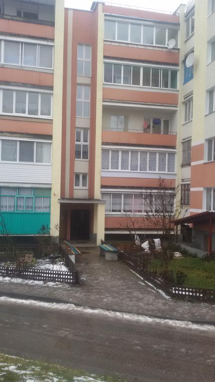 Apartments On Leninskaya Street Nyasvizh Bagian luar foto